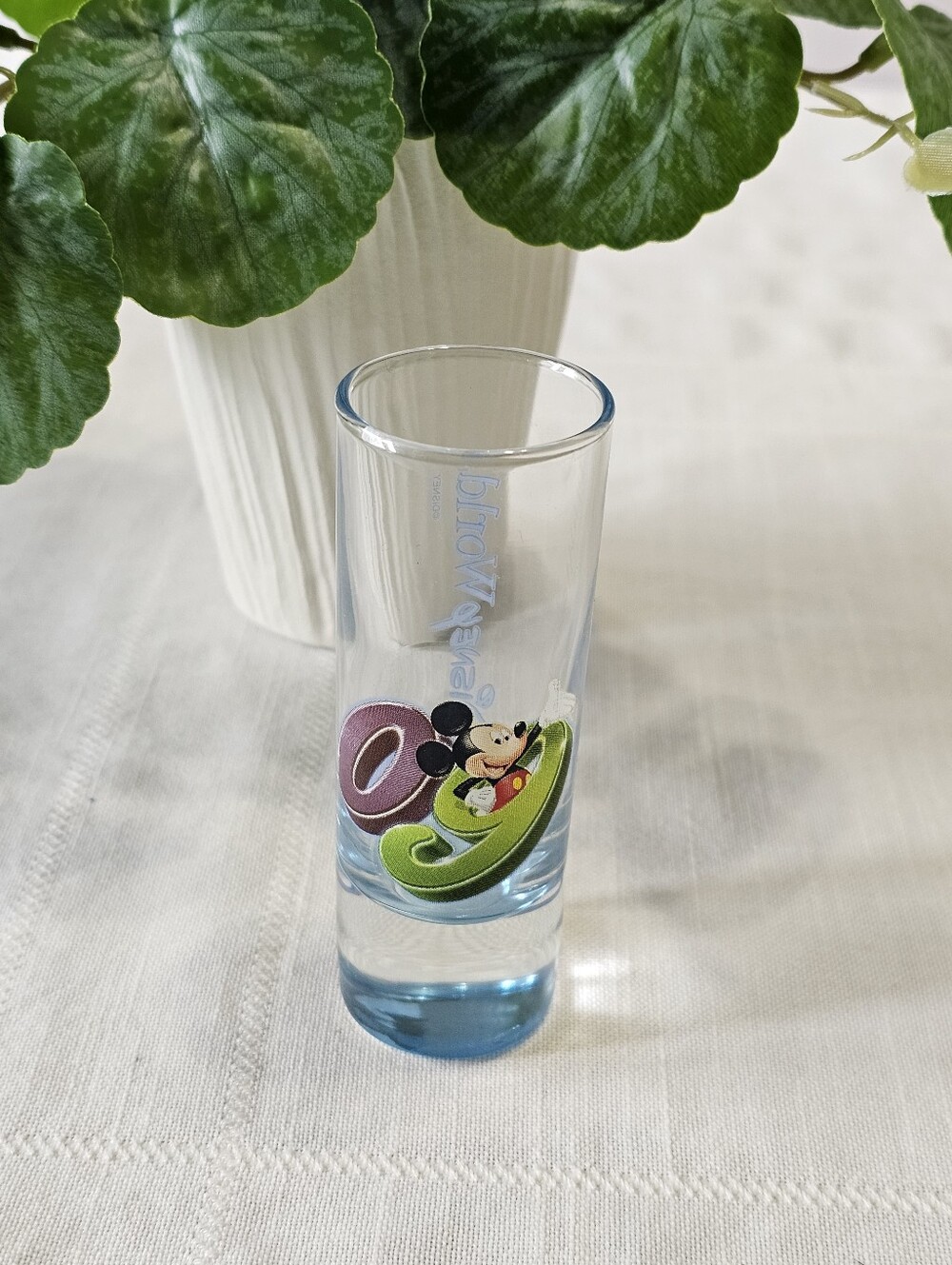 2009 Walt Disney World Mickey Mouse Disney Shot Glass